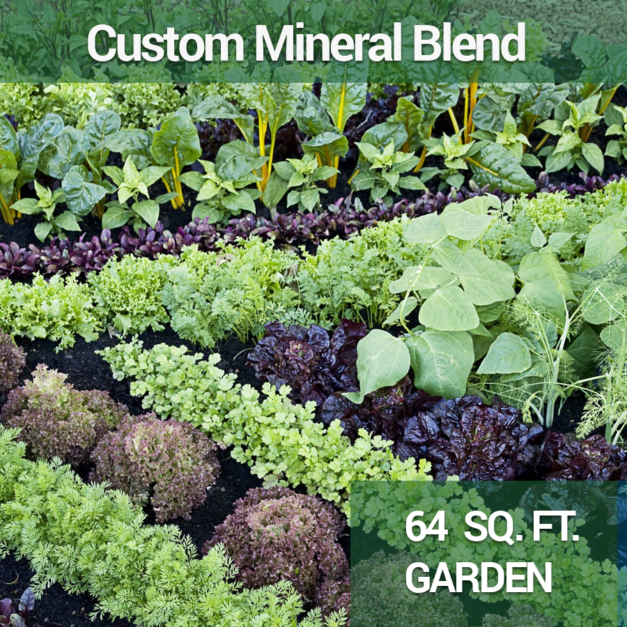 garden64sq