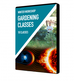 Workshop DVD's
